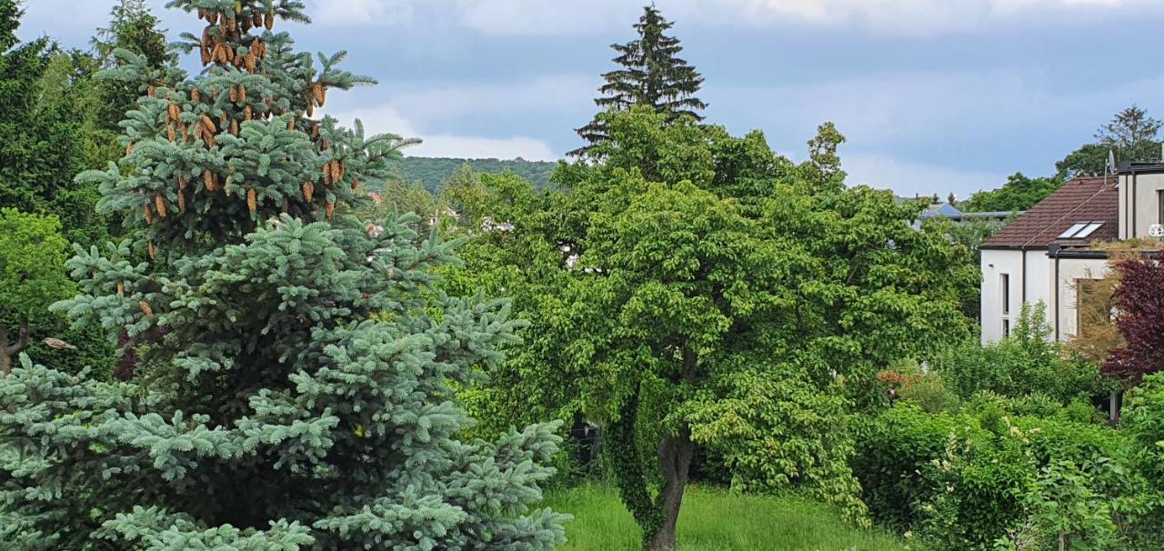 Erhol 'Dich Am Berg Appartamento Vienna Esterno foto
