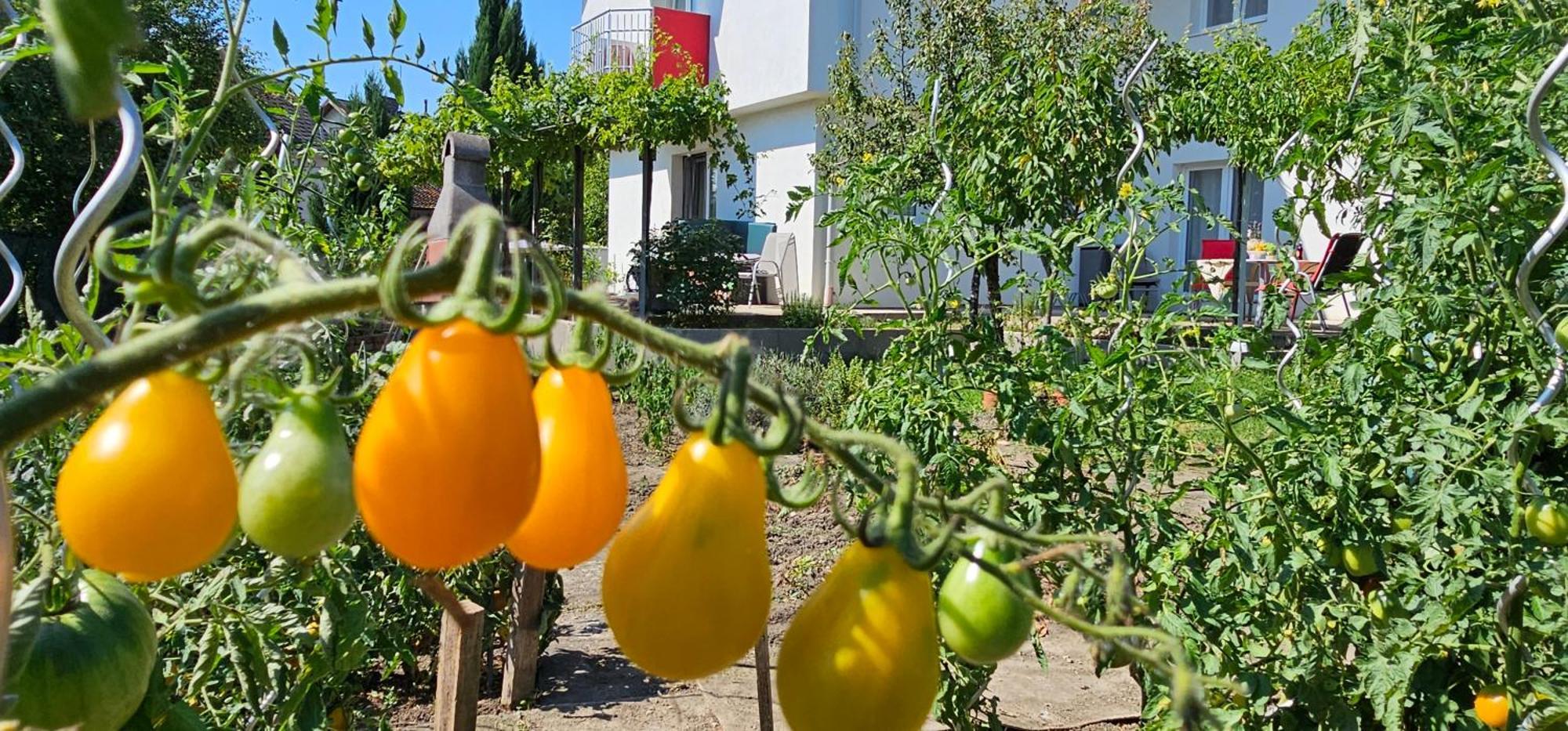 Erhol 'Dich Am Berg Appartamento Vienna Esterno foto